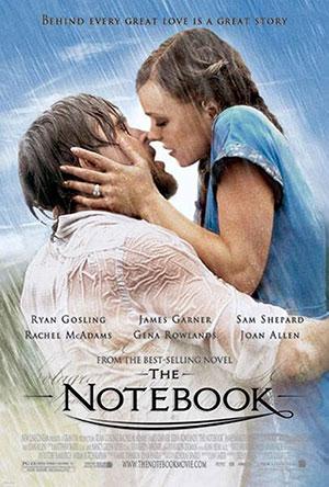 The Notebook (2004) BluRay Dual Audio [Hindi ORG. + English] 480p [350MB] | 720p [1.2GB] | 1080p [2.6GB]