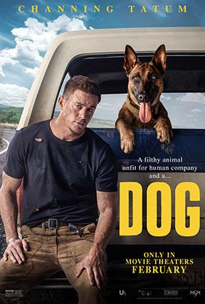 Dog (2022) Dual Audio {Hindi ORG. Dubbed + English} WeB-DL 480p [450MB] | 720p [1.6GB] | 1080p [3.4GB]