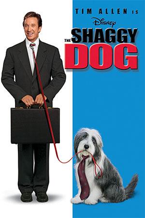 The Shaggy Dog (2006) Dual Audio {Hindi-English} 480p [300MB] | 720p [1GB]