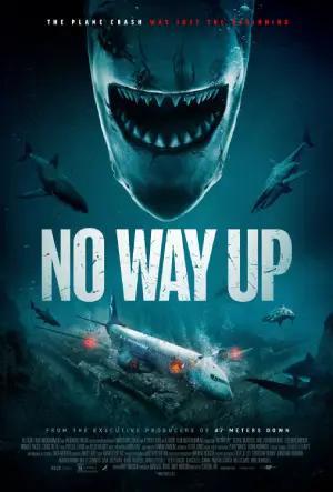 No Way Up (2024) WEB-DL Multi Audio [Hindi ORG. + English + Tamil + Telugu] Full Movie 480p [530MB] | 720p [1.1GB] | 1080p [2.1GB]