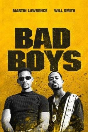 Bad Boys (1995) BluRay Multi Audio [Hindi ORG. + English + Tamil + Telugu] 480p [800MB] | 720p [1.5GB] | 1080p [2.5GB]