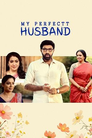 My Perfectt Husband (2024) Hindi Season 1 Complete Hotstar Special WEB Series 480p | 720p | 1080p WEB-DL