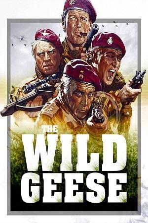 The Wild Geese (1978) Dual Audio {Hindi-English} BluRay 480p [450MB] | 720p [1.2GB] | 1080p [2.8GB]